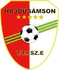 sámsoni logo